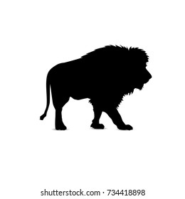 Silhouette of walking lion.