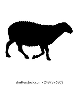 Silhouette of a walking sheep. Icon of a farm animal. Side view. Vector illustration isolated on a white background