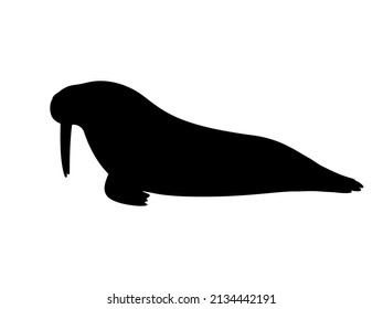 Silhouette of a walrus with tusks. Vector illustration of a black silhouette of a lying atlantic walrus isolated on a white background. Icon side view, profile.