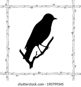 silhouette of a warbler bird sitting on a branch in twig frame