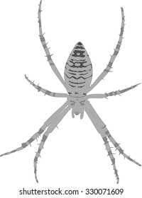 Silhouette of wasp spider