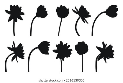 Silhouette of water lily, water lily, side view