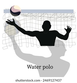 Silhouette Water polo action in transparent background.