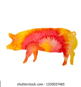  silhouette watercolor pig