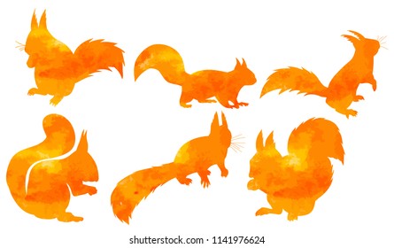 Silhouette Of Watercolor Squirrel, Set