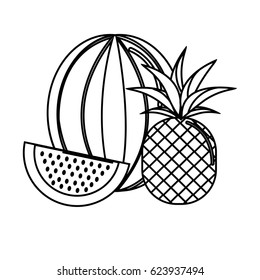 silhouette watermelon and pineapple fruit icon