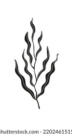 Silhouette of a wavy branch of a plant. Modern leaf design. Vector illustration isolated on a white background