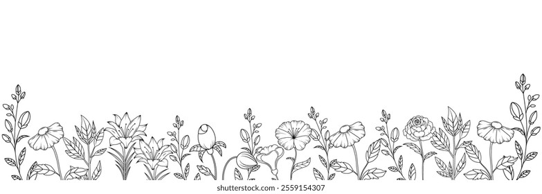 Silhouette for wedding design. Branch, stem, petals, leaves. Frame for design. Minimalistic Herbal Botanical set of border. Collection of trendy modern hand drawn flowers. Single line art, clip art. 