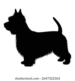 Silhueta de um cão West Highland White Terrier que está em pé orgulhosamente. O cão é retratado em um perfil lateral, exibindo seu casaco macio característico e orelhas eretas