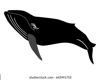 silhouette of whale