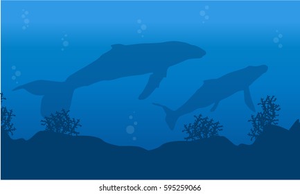 Silhouette of whale on underwater landscape