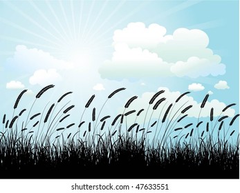 Silhouette of wheat against a blue cloudy sky