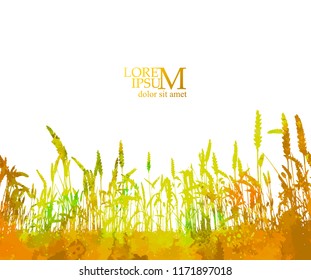 Silhouette of wheat in the field. Vector