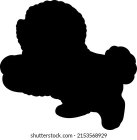 Silhouette of white Bichon Frise jumping