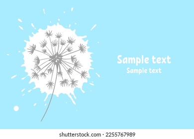 Silhouette of a white blooming dandelion with flying paint splashes on a blue background with copy space
