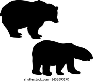 Silhouette of a white and brown bear on a white background