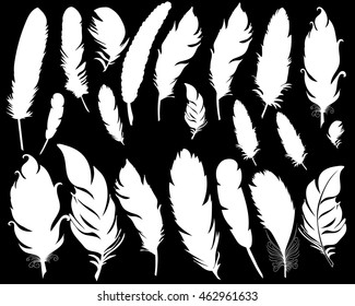 silhouette white feathers on black background