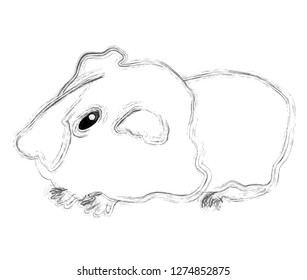 Download Guinea Pig Silhouette Images, Stock Photos & Vectors ...