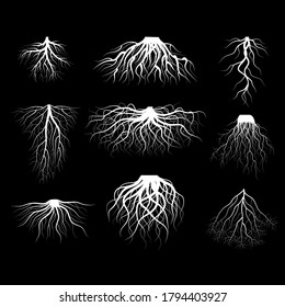 Silhouette White Tree Roots Various Types Shapes Set Underground Element of Plant for Web and App. Vector illustration