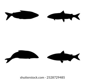 Silhouette of a Whitefish on white background