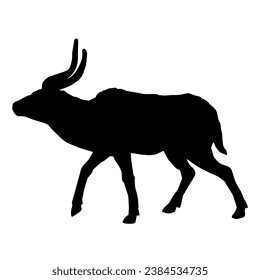 Silhouette of an wild antelope animal running.