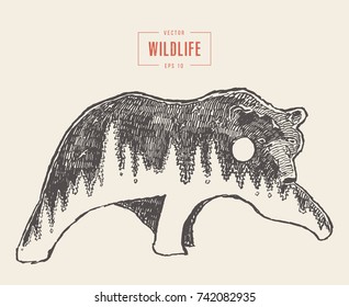 Silhouette of a wild bear with a forest illustration inside, wildlife concept, hand drawn vector illustration