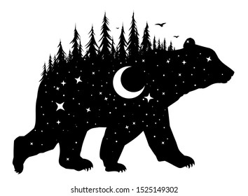 Silhouette of a wild bear with night forest and bird.