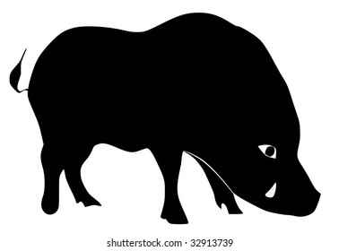 silhouette of wild boar