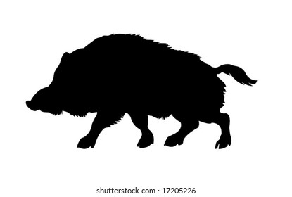 silhouette of the wild  boar isolated on white background