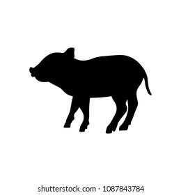 Silhouette of wild boar piglet. Vector illustration isolated on white background