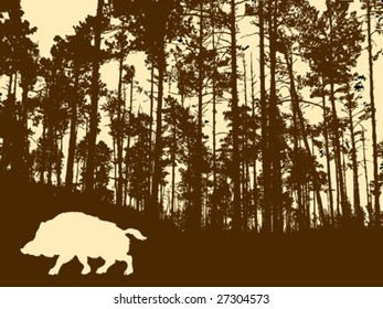  silhouette of the wild boar in thick wood