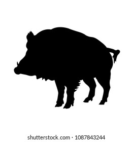 Silhouette of wild boar. Vector illustration isolated on white background