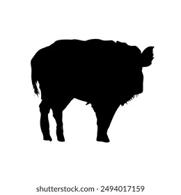 Silhouette of a wild boar - vector illustration