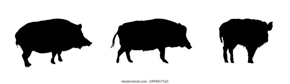 Silhouette of a wild boar - vector illustration