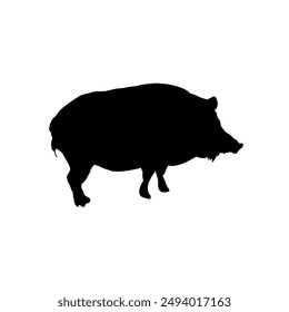 Silhouette of a wild boar - vector illustration