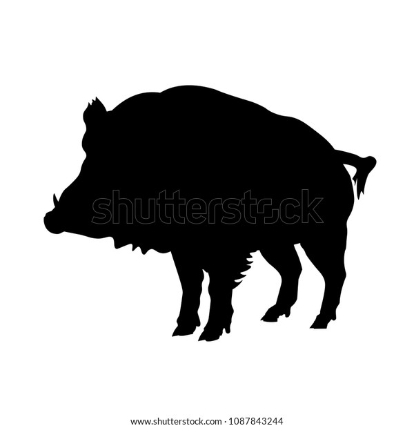 boar silhouette