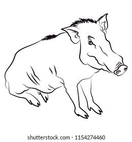 Silhouette of wild boar. Vector isolated illustrartion.