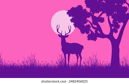 Silhouette der wilden Hirsche Gras Bäume am Nachmittag