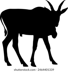 Silhouette wild forest animal vector