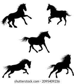 Silhouette wild horses. Vector illustration horse with isolated white background.