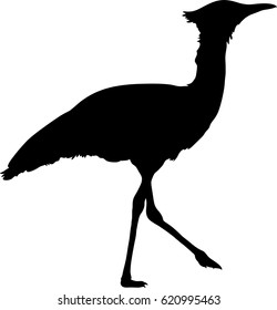 Silhouette of a wild kori bustard - digitally hand drawn vector silhouette, black isolated on white background