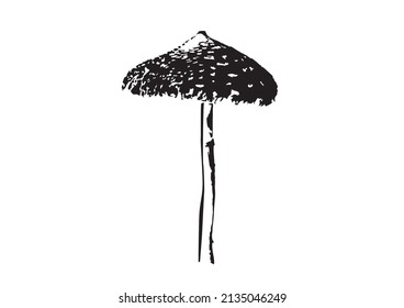 Silhouette of a wild mushroom