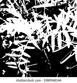 Silhouette of wild peas close-up. Thin long leaves. Vector isolated illustration. Black color transparent background.