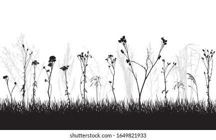 Silhouette wild plants and weeds, meadow. Vector illustration.