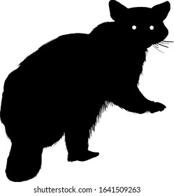 Silhouette of a wild raccoon, scientifically known as Procyon lotor. Vector illustration.