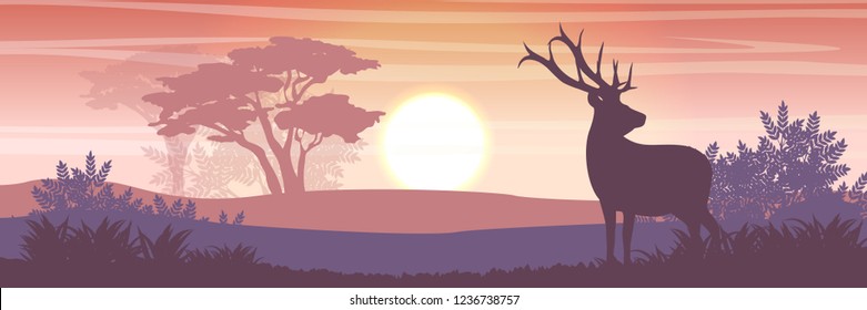 Silhouette. Wild reindeer in the valley. Animals of Russia, Canada, USA, Scandinavia and Iceland. Landscape north in summer
