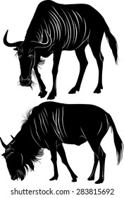 Silhouette wildebeest antelope isolated on white background