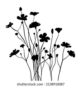 Silhouette wildflowers grass. Vector black hand drawn illustration with spring or summer flowers. Shadow of herb and plant. Nature field isolated on white background