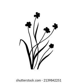 Silhouette wildflowers grass. Vector black hand drawn illustration with spring flowers. Shadow of herb and plant. Nature field isolated on white background