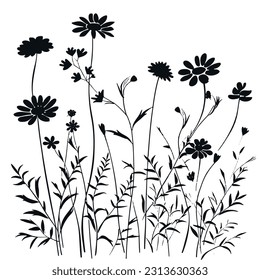 Silhouette wildflowers grass. Vector black hand drawn illustration with spring or summer flowers. Shadow of herb and plant.